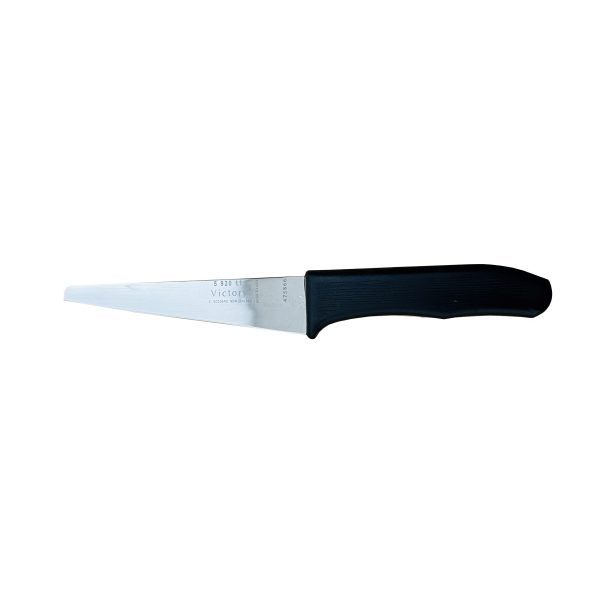 Argus scallop knife